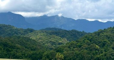 BNDES, Governo do Estado do Rio, Aegea Saneamento e FUNBIO lançam edital para restauração da Mata Atlântica